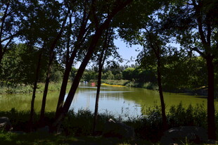 公园风景  