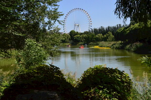 公园风景 