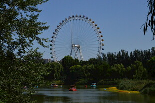 公园风景  