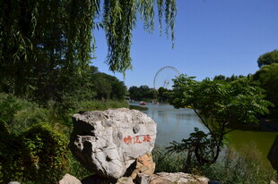 公园风景 