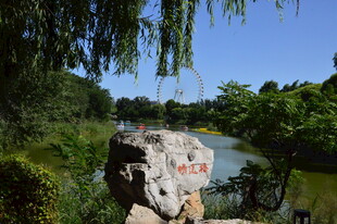 公园风景 