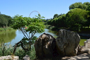 公园风景  