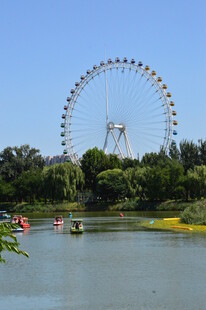 公园风景 