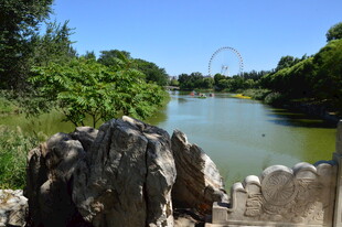 公园风景 