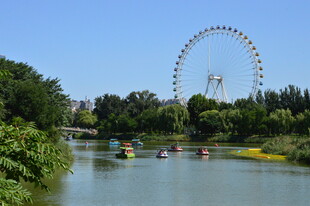公园风景 