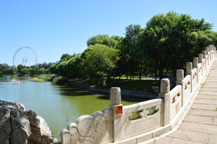 公园风景 