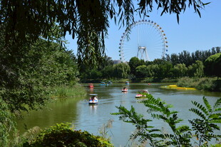 公园风景 