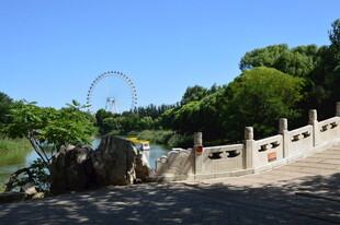 公园风景  
