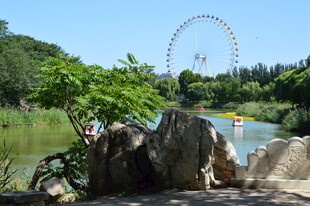公园风景 