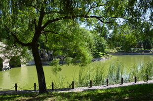 公园风景  