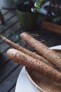 山药