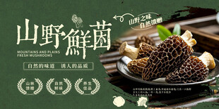 野生菌