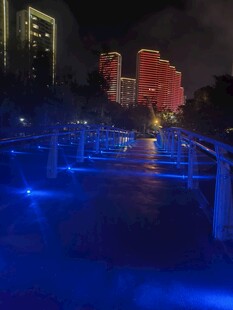 夜晚河畔蓝色灯光景观桥