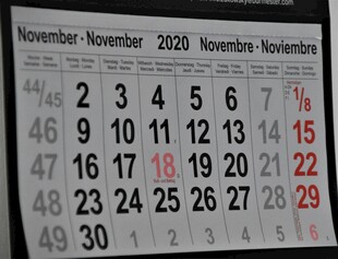 2023年11月日历视图