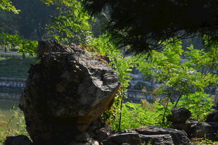 公园风景 