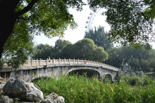 公园风景  