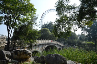 公园风景 