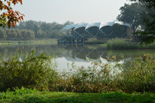 公园风景 