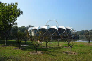 公园风景 