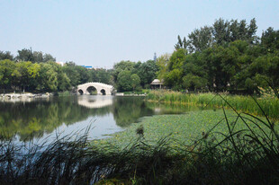 公园风景  