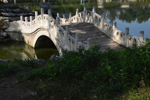 公园风景 