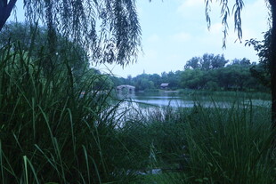 公园风景 