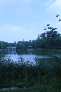 公园风景 
