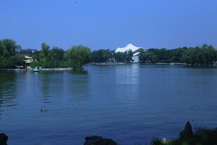 公园风景 