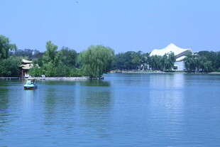 公园风景  