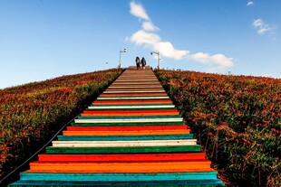 彩色阶梯