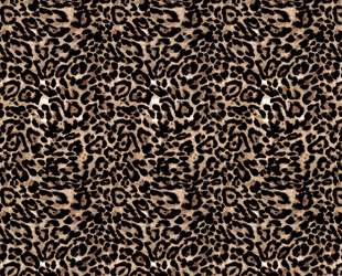 豹纹