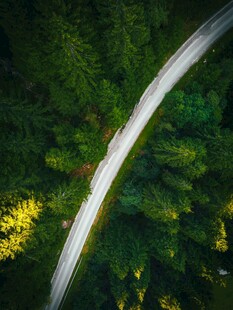 林间蜿蜒公路航拍美景