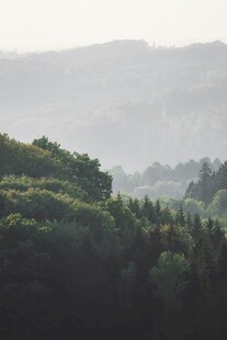 山林晨雾景观