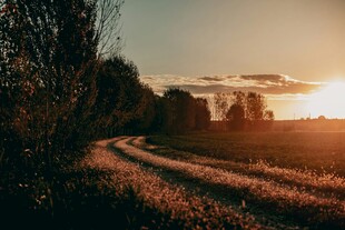 夕阳下的乡间田野小路