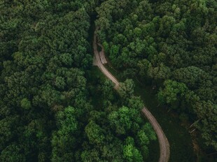 俯瞰山林间蜿蜒小路