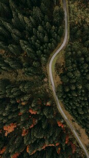 蜿蜒公路穿梭茂密森林