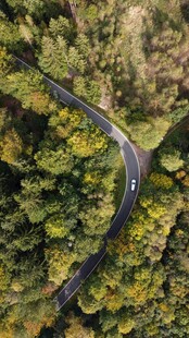 蜿蜒公路穿梭于葱郁森林