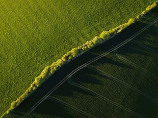 田野间蜿蜒的黑色道路