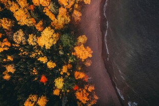 秋日河畔斑斓树叶美景