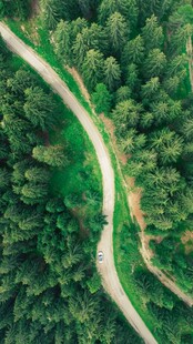 俯瞰山林间蜿蜒小路