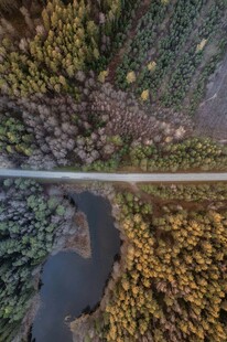 俯瞰山林间的蜿蜒道路