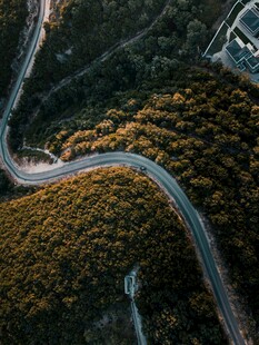 蜿蜒山路穿梭于斑斓树林