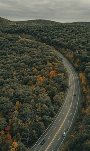 蜿蜒公路穿行多彩山林