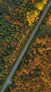 秋日公路航拍美景