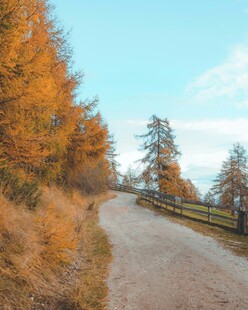 秋日林间小路风景