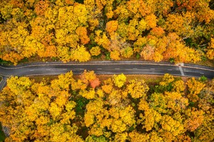 秋日蜿蜒公路的斑斓景致