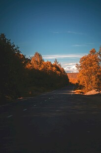 黄昏下的林间道路