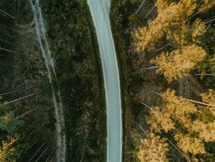 秋日林间蜿蜒公路美景