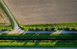 田野间的翠绿道路