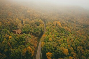 雾中蜿蜒秋色林间公路